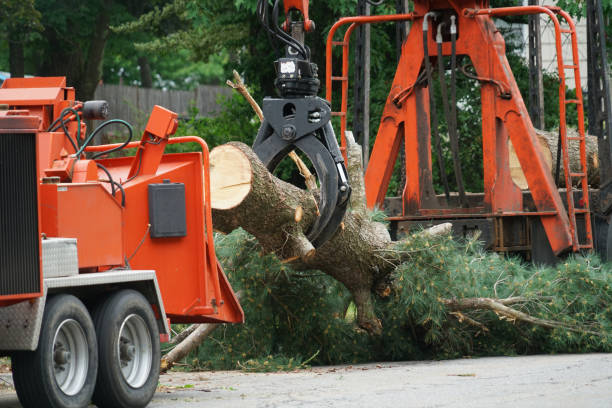 Seasonal Cleanup (Spring/Fall) in West Pittston, PA